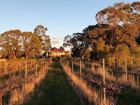 Lillicur Vineyard B&B - Redcliffe Tourism 0