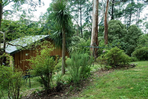 Luxury Forest Retreat - Puffing Billy - Redcliffe Tourism 2