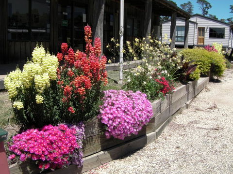 Mansfield Holiday Park - Redcliffe Tourism 3
