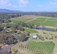 McCaffrey's Estate - Redcliffe Tourism
