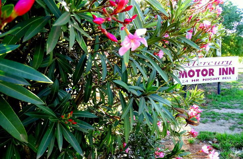 Mercury Motor Inn - Redcliffe Tourism 0