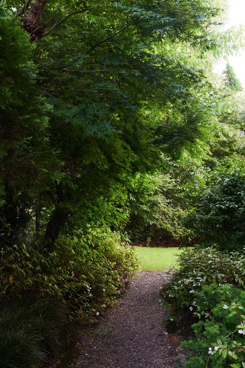 Mountain Sojourn - Redcliffe Tourism 3