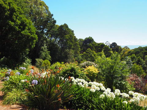 Murrindindi - Redcliffe Tourism 0