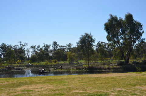 Murrord Wetlands - Redcliffe Tourism 2