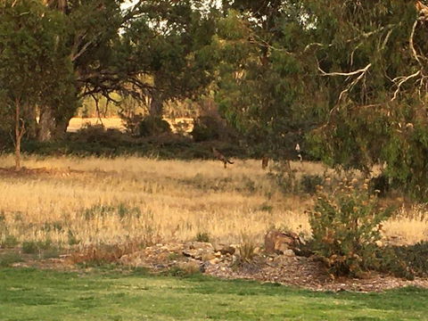 Murrord Wetlands - Redcliffe Tourism 3