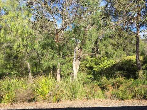 Cape Villas Dunsborough Unit 2 - Redcliffe Tourism 26