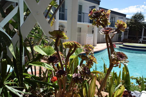 Seashore Memories - Sleeps 3 - Redcliffe Tourism 14