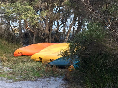Riverside Retreat Chalets, Walpole - Redcliffe Tourism 20
