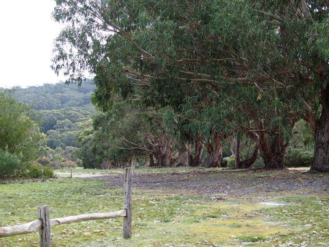 Riverside Retreat Chalets, Walpole - Redcliffe Tourism 17