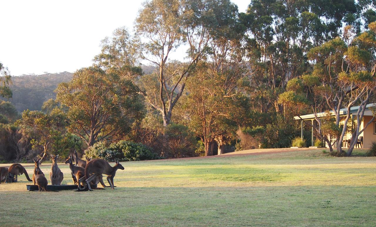  Redcliffe Tourism