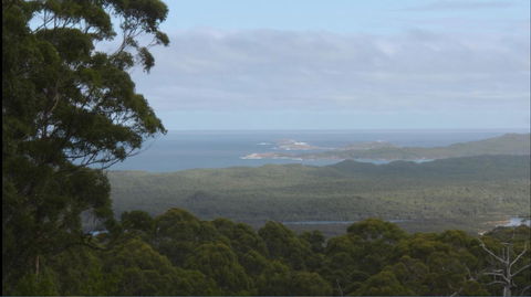 Riverside Retreat Chalets, Walpole - Redcliffe Tourism 30
