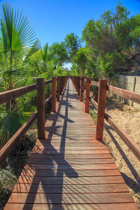 Peoples Park - Redcliffe Tourism 39