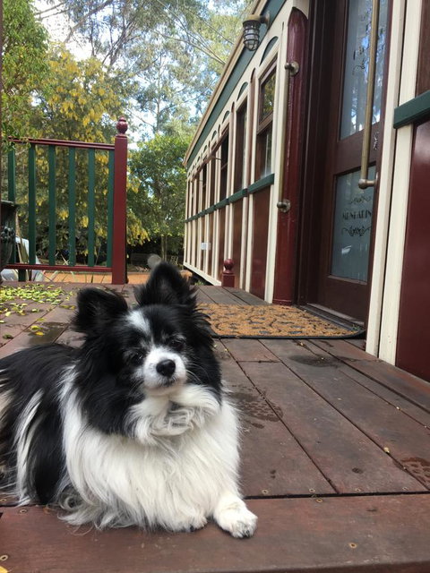 Quiet Escapes Cottages - Redcliffe Tourism 15