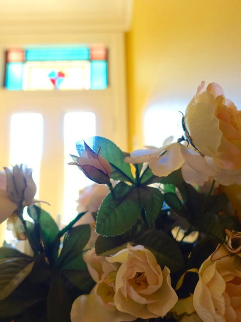 The Blacksmiths Cottage - Redcliffe Tourism 16