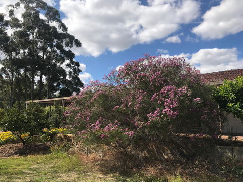 Cockburn Retreat Home æŸæ–¯æ‚ é–’æ°‘å®¿ - Redcliffe Tourism 0