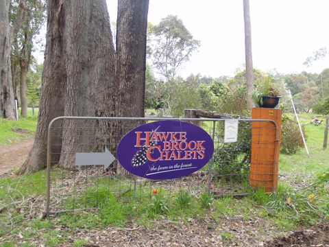 Hawke Brook Chalets - Redcliffe Tourism 10