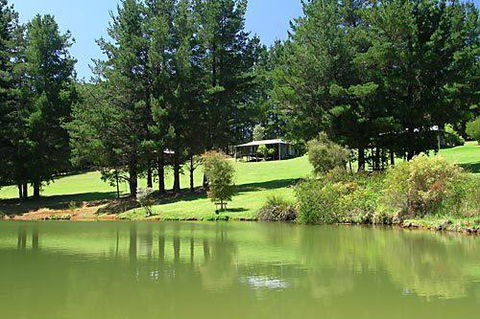 Hawke Brook Chalets - Redcliffe Tourism 2