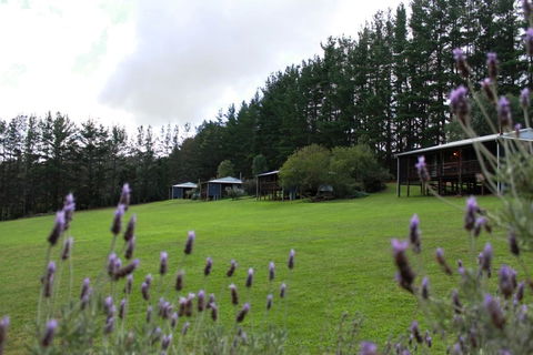 Hawke Brook Chalets - Redcliffe Tourism 1