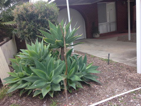 â˜… Stylish Family Home! â˜… - Redcliffe Tourism 2