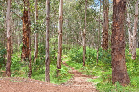 Churchill Studios - Redcliffe Tourism 8