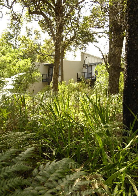 Margarets Forest - Redcliffe Tourism 41