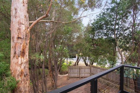 Margarets Forest - Redcliffe Tourism 12