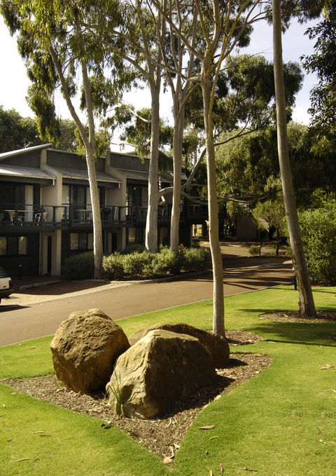 Margarets Forest - Redcliffe Tourism 34