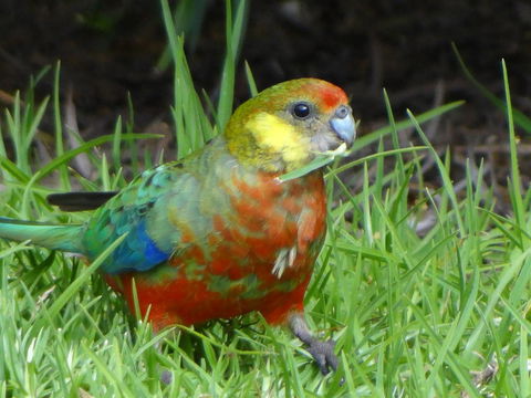 Big Brook Retreat - Redcliffe Tourism 13