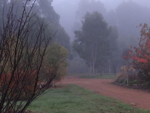 Big Brook Retreat - Redcliffe Tourism 14