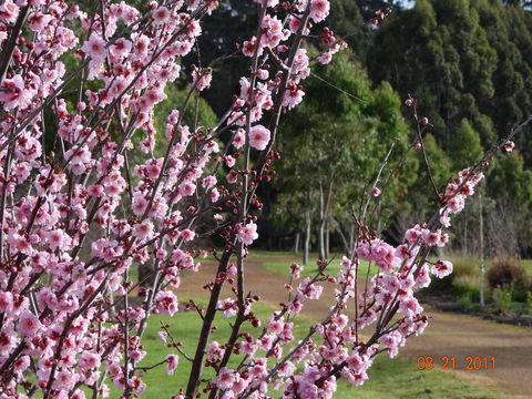 Big Brook Retreat - Redcliffe Tourism 9