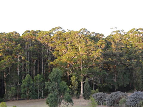 Big Brook Retreat - Redcliffe Tourism 11