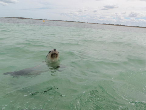 Island View Villas - Redcliffe Tourism 13