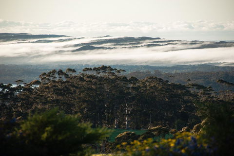 Celestine Retreat - Redcliffe Tourism 13
