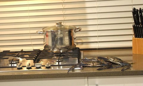 South Yunderup Holiday Rental - Redcliffe Tourism 12