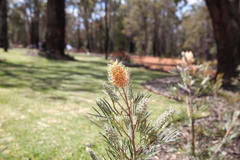 Amaroo Retreat & Spa - Redcliffe Tourism 19