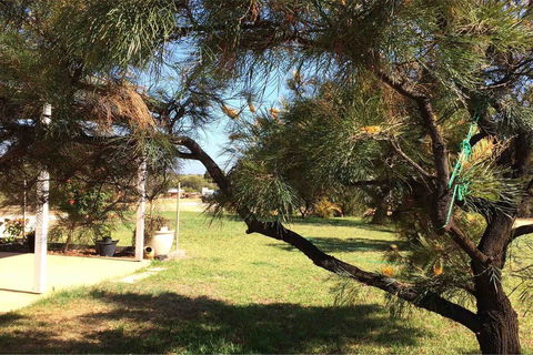 Ocean View Homestead - Redcliffe Tourism 23