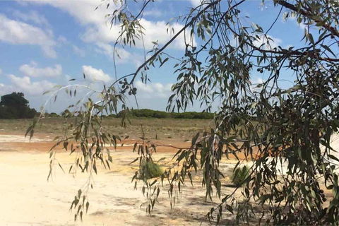 Ocean View Homestead - Redcliffe Tourism 16