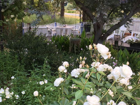 Applegate Lane Chalet - Redcliffe Tourism 22