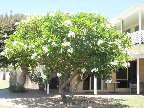 Kalbarri Riverfront Unit - Redcliffe Tourism 6