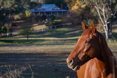 Historic Oakhill House Entire Estate - Redcliffe Tourism 9