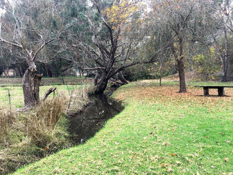 Historic Oakhill House Entire Estate - Redcliffe Tourism 18