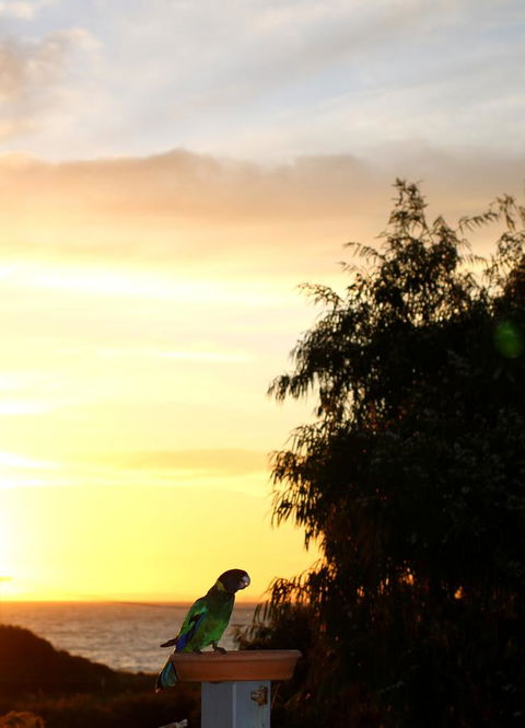 Peppy Beach Ocean Views - Redcliffe Tourism 12