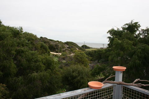 Peppy Beach Ocean Views - Redcliffe Tourism 8
