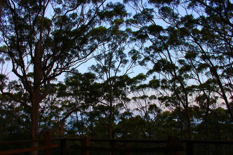 Ark Of Denmark - Redcliffe Tourism 27