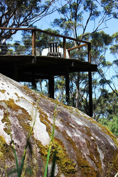 Ark Of Denmark - Redcliffe Tourism 14