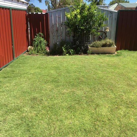 Bluebird Cottage - Redcliffe Tourism 29