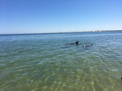 Bluebird Cottage - Redcliffe Tourism 39