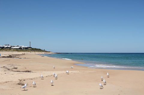 Bluebird Cottage - Redcliffe Tourism 40