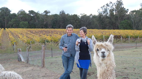 Windfall Estate Vineyard Cottage - Redcliffe Tourism 11