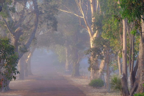 Seaview And Spa At Torbay - Redcliffe Tourism 2
